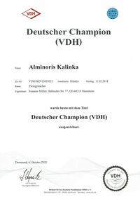 Deutscher-Champion-VDH-Kalinka